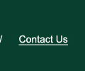 Contact Holly Pipe